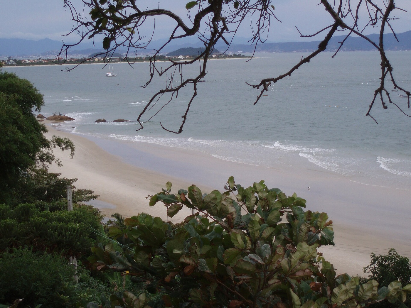 Foto real de referência turística de Praia do Forte, Brasil