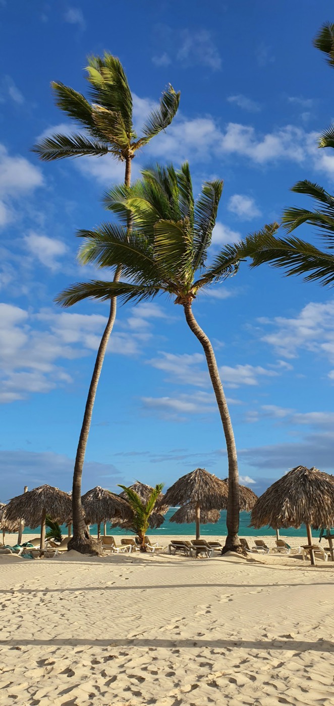 Praia em Punta Cana com coqueiros e mar caribenho
