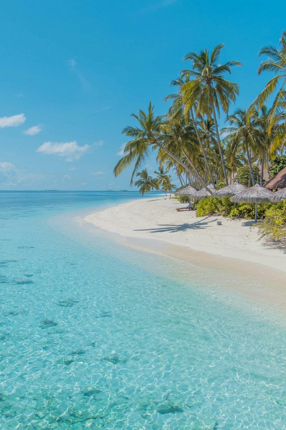 Praia tropical em Zanzibar