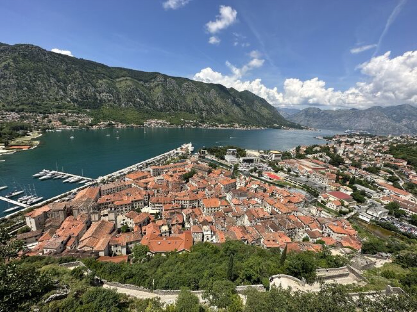 Kotor